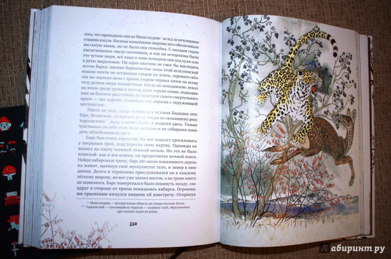 Иллюстрация 19 из 154 для Золотая Ригма - Всеволод Сысоев | Лабиринт - книги. Источник: Алонсо Кихано