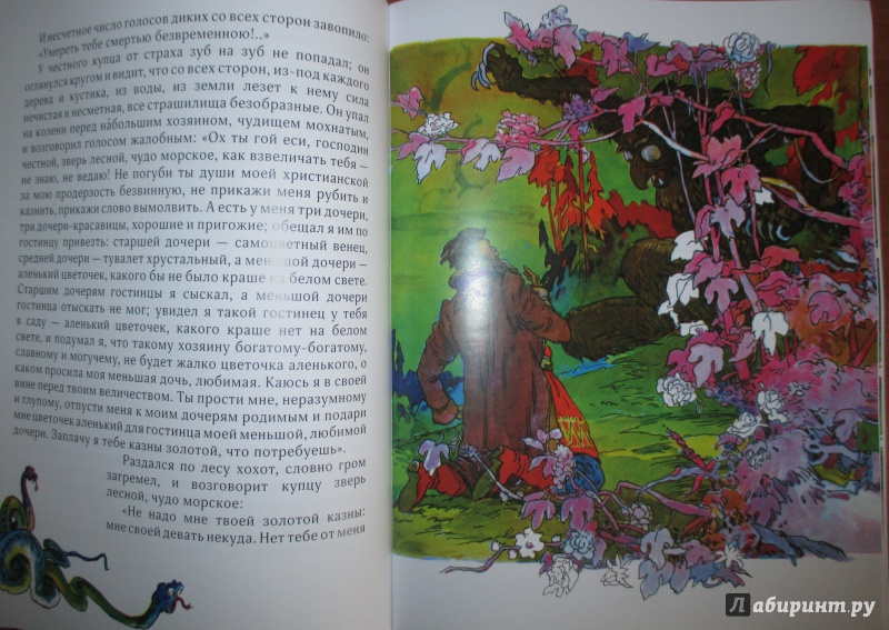 Иллюстрация 7 из 49 для Аленький цветочек - Сергей Аксаков | Лабиринт - книги. Источник: Иванов Евгений