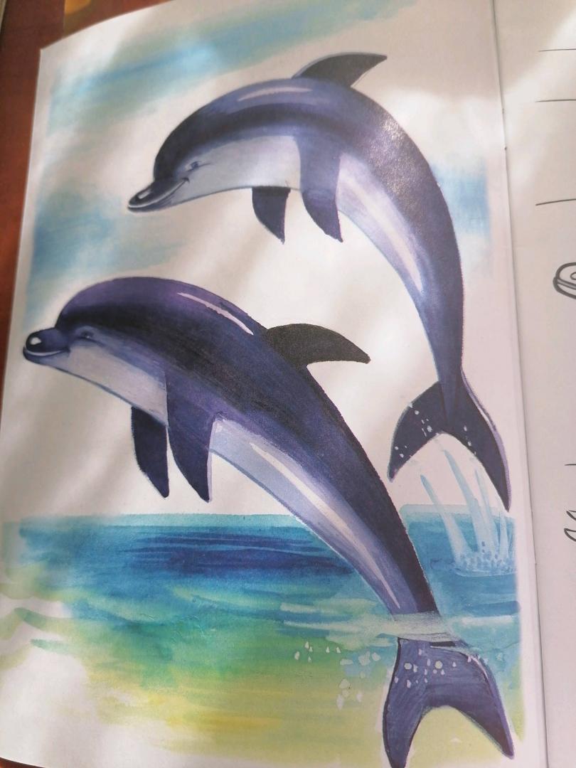 Иллюстрация 24 из 34 для Раскраска Жители морей | Лабиринт - книги. Источник: Савушкина Ольга