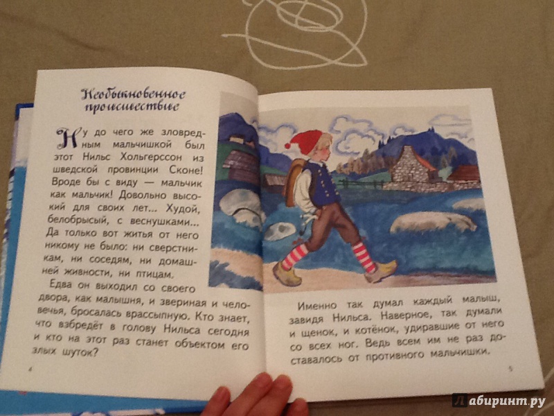 Иллюстрация 18 из 18 для Чудесное путешествие Нильса с дикими гусями - Сельма Лагерлеф | Лабиринт - книги. Источник: Доброван  Вера