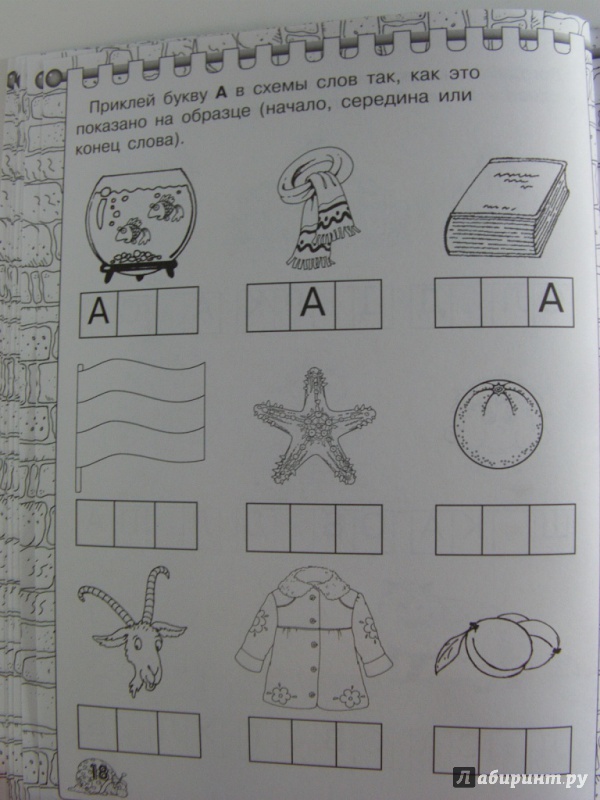 Иллюстрация 30 из 33 для Первая книжка для чтения с крупными буквами наклейками - Олеся Жукова | Лабиринт - книги. Источник: Elena Yudina