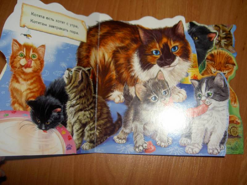 Иллюстрация 2 из 5 для Кошка и котята - Ринат Курмашев | Лабиринт - книги. Источник: hellgirl