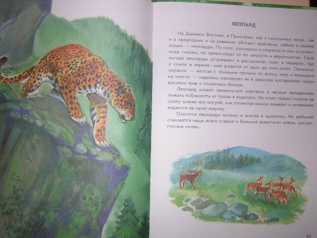Иллюстрация 39 из 40 для Азбука живой природы - Александр Барков | Лабиринт - книги. Источник: Матюша