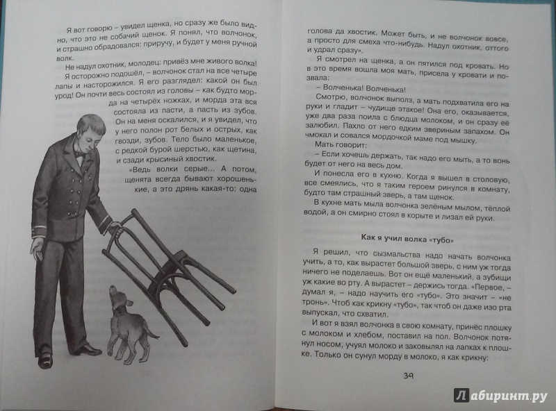 Иллюстрация 38 из 41 для Морские истории - Борис Житков | Лабиринт - книги. Источник: Лабиринт