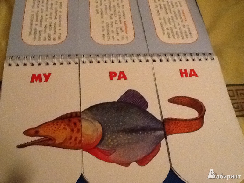 Иллюстрация 6 из 12 для Пере-рыбы. Собери удивительную рыбку. 512 смешных рыб под одной обложкой - Н. Федорова | Лабиринт - книги. Источник: Доброван  Вера