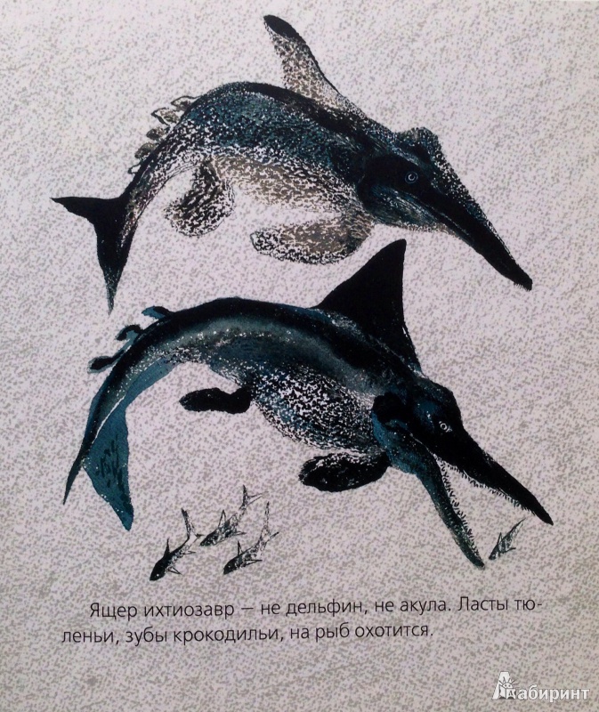 Иллюстрация 17 из 30 для Невиданные звери - Никита Чарушин | Лабиринт - книги. Источник: Xikary