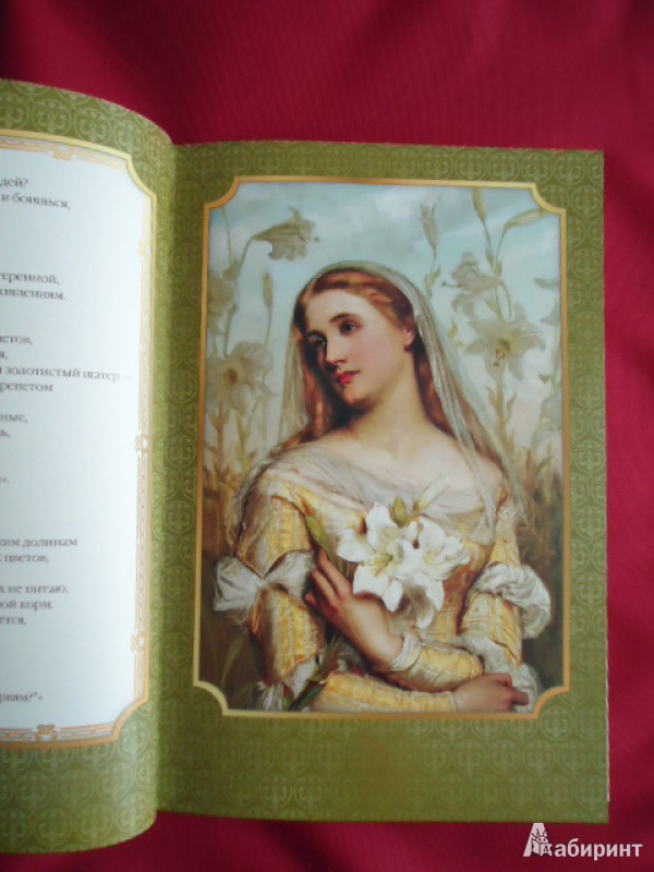 Иллюстрация 5 из 27 для Английская романтическая поэзия | Лабиринт - книги. Источник: Николаева Ольга