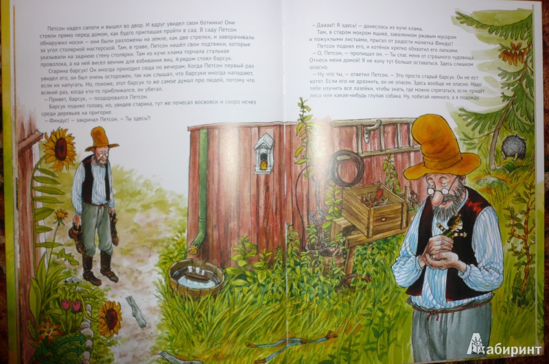 Иллюстрация 17 из 102 для История о том как Финдус потерялся, когда был маленьким - Свен Нурдквист | Лабиринт - книги. Источник: Климкова  Светлана