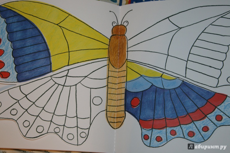 Иллюстрация 39 из 70 для Разноцветная природа - Пито, Жерве | Лабиринт - книги. Источник: Кабанова  Ксения Викторовна