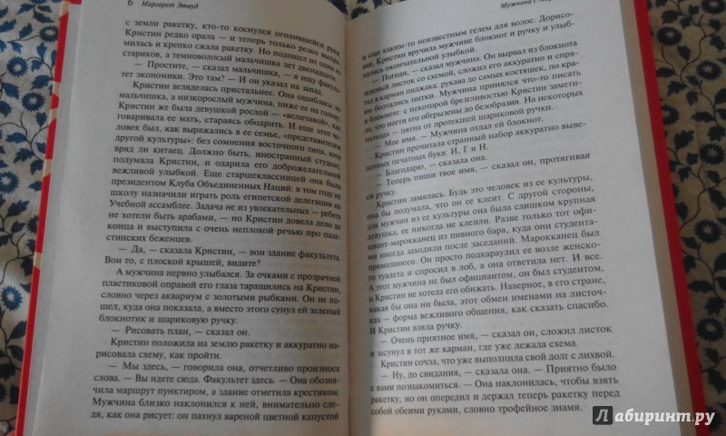 Иллюстрация 19 из 21 для Пожирательница грехов - Маргарет Этвуд | Лабиринт - книги. Источник: el1ven