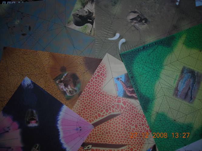 Иллюстрация 5 из 19 для АБ 11-301 Африка (оригами) | Лабиринт - игрушки. Источник: Плахова  Татьяна