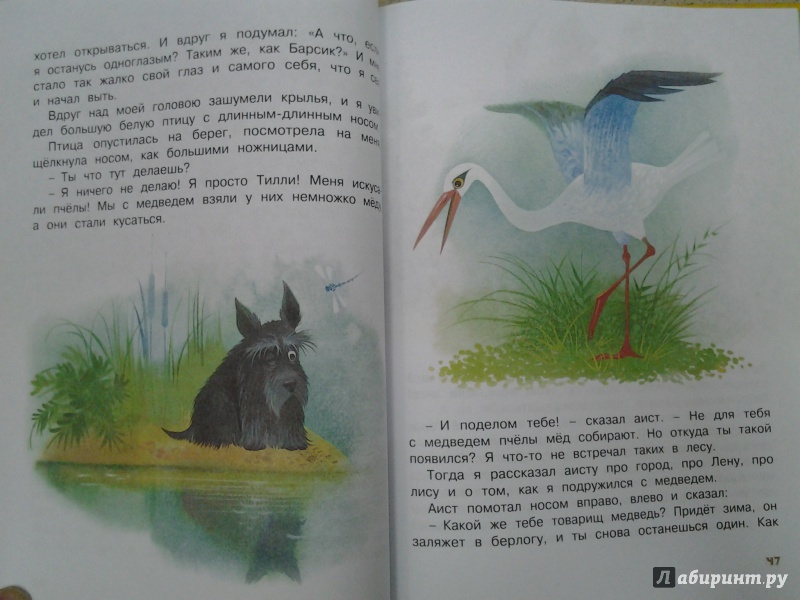 Иллюстрация 60 из 60 для Храбрый Тилли и другие истории - Ларри, Ольгин | Лабиринт - книги. Источник: Olga