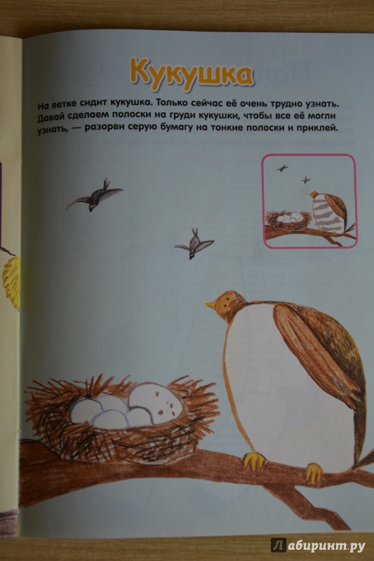 Иллюстрация 35 из 94 для Новый ребенок. Полный годовой курс. Для детей от 3-х лет - Елена Янушко | Лабиринт - книги. Источник: Эйтери