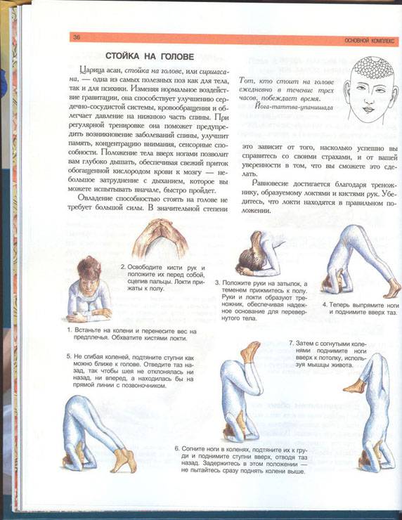 Иллюстрация 8 из 8 для Новая книга по йоге: Поэтапное руководство - Лайделл, Рабинович, Рабинович | Лабиринт - книги. Источник: Козловская  Наталья