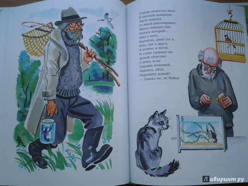 Ладонщиков лучший друг читать. Овсей ротозей. Ладонщиков Егорка Рыбачок. Ладонщиков лучший друг. Егорка Рыбачок книга.