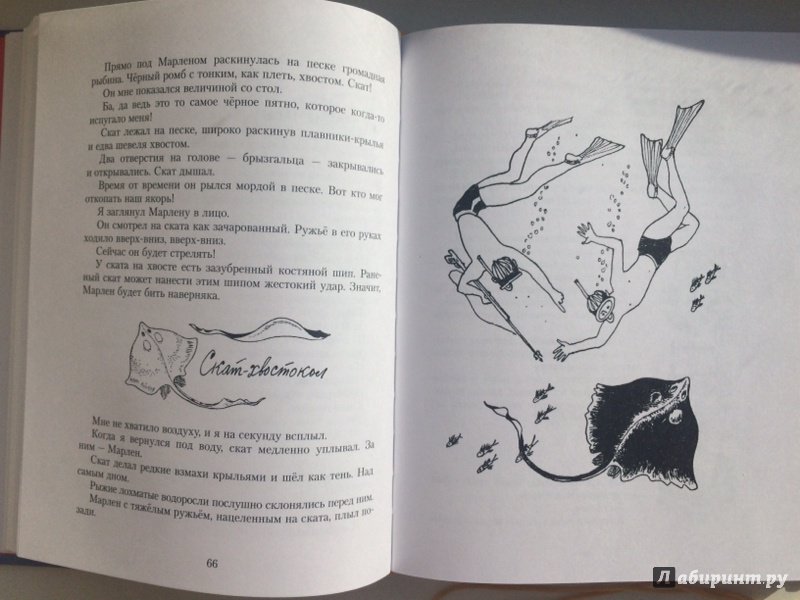 Иллюстрация 31 из 34 для Подводные приключения - Святослав Сахарнов | Лабиринт - книги. Источник: Наталья Л.