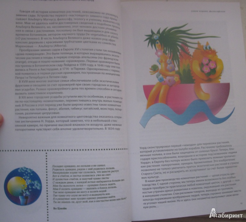 Иллюстрация 2 из 6 для Красивое комнатное цветоводство для начинающих и мастеров - Юлия Фомина | Лабиринт - книги. Источник: товарищ маузер