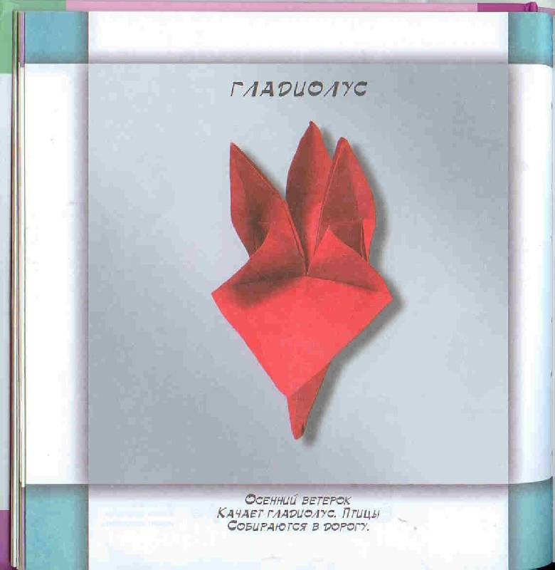 Иллюстрация 5 из 18 для Оригами. Цветы - Ирина Богатова | Лабиринт - игрушки. Источник: Тярионнакуби