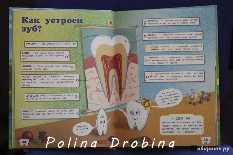 Иллюстрация 28 из 46 для Детям про зубки. Невероятное путешествие по Зубландии | Лабиринт - книги. Источник: Дробина  Полина