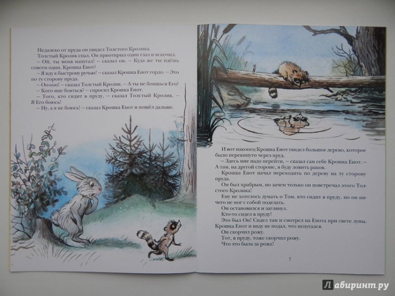 Иллюстрация 32 из 97 для Крошка Енот и тот, кто сидит в пруду - Лилиан Муур | Лабиринт - книги. Источник: Мелкова  Оксана