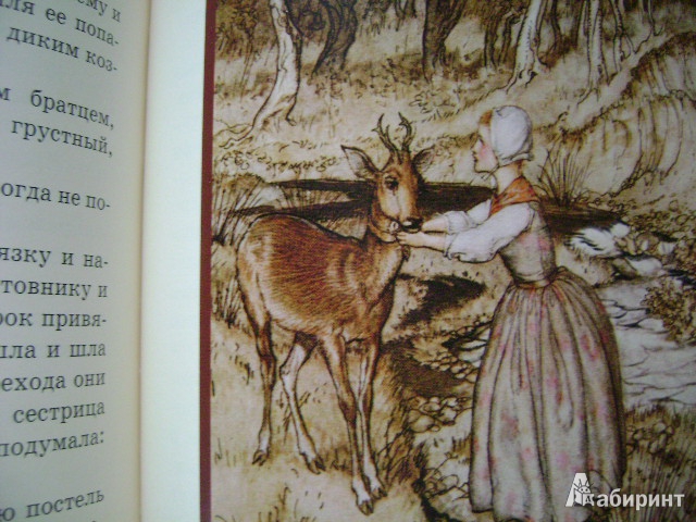 Иллюстрация 6 из 35 для Сказки - Гримм Якоб и Вильгельм | Лабиринт - книги. Источник: Lunna