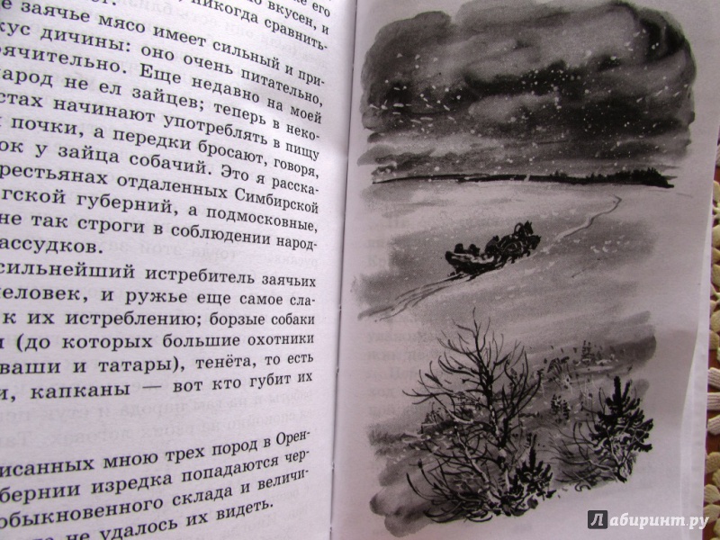 Иллюстрация 19 из 28 для Рассказы о природе - Сергей Аксаков | Лабиринт - книги. Источник: настя тимарг