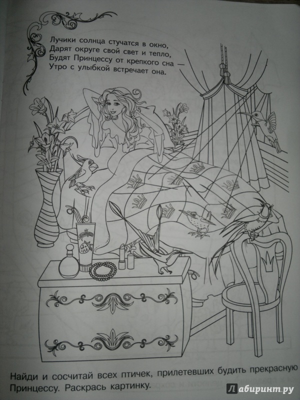 Иллюстрация 13 из 21 для Принцесса и ее друзья | Лабиринт - книги. Источник: Aurinko-laikku