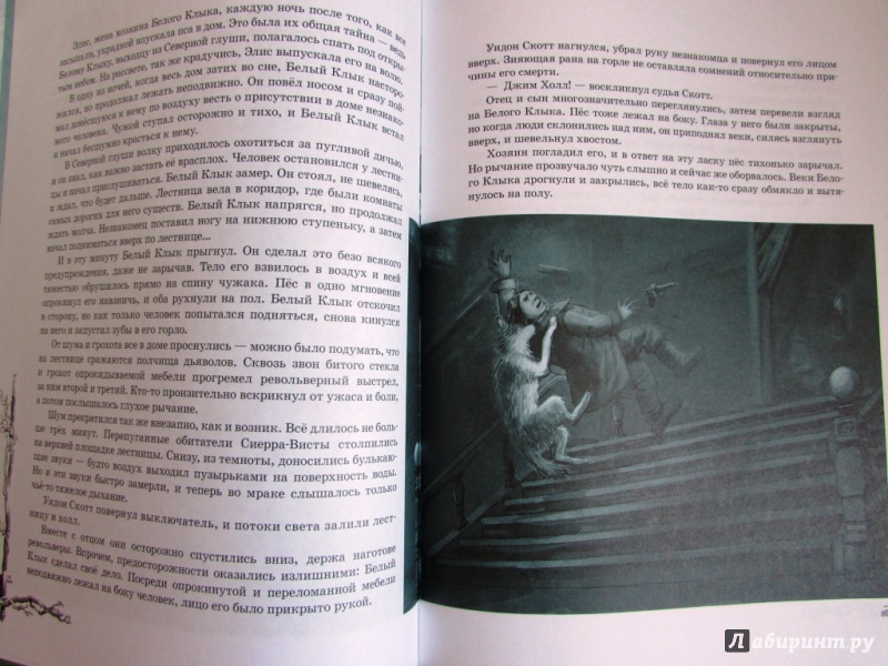 Иллюстрация 17 из 33 для Белый клык - Джек Лондон | Лабиринт - книги. Источник: настя тимарг