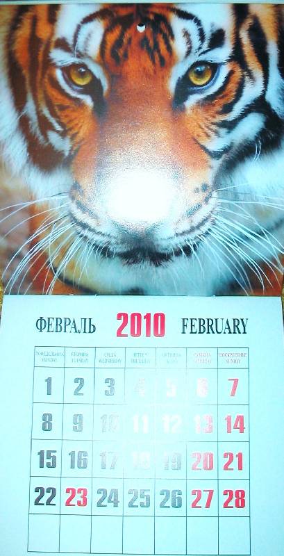 Иллюстрация 3 из 14 для Календарь 2010 Год тигра (0607) | Лабиринт - сувениры. Источник: Tamara