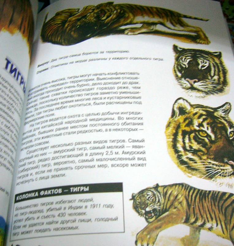 Иллюстрация 16 из 37 для Энциклопедия животных | Лабиринт - книги. Источник: Nika