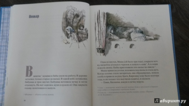 Иллюстрация 21 из 89 для Косточка - Лев Толстой | Лабиринт - книги. Источник: mara79-08