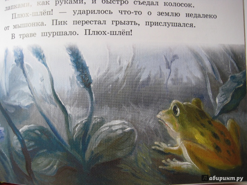 Иллюстрация 17 из 19 для Мышонок Пик - Виталий Бианки | Лабиринт - книги. Источник: Макарова  Елена