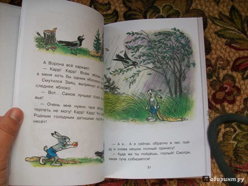 Иллюстрация 4 из 17 для Сказки в картинках - Владимир Сутеев | Лабиринт - книги. Источник: Надежда