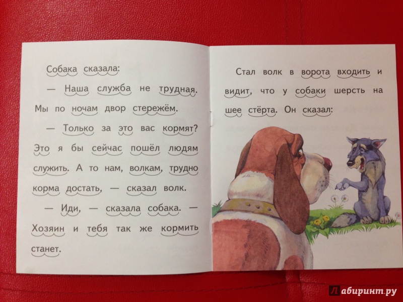 Иллюстрация 15 из 24 для Волк и собака - Лев Толстой | Лабиринт - книги. Источник: М.  Наташа