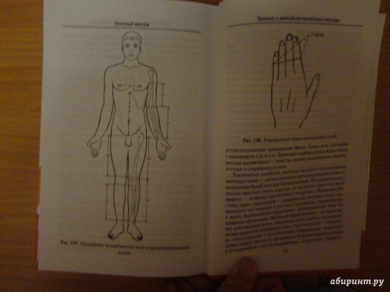 Иллюстрация 3 из 7 для Полное руководство по общему, лечебному, точечному и косметическому массажу - Ингерлейб, Панаев, Морозова | Лабиринт - книги. Источник: Kristin