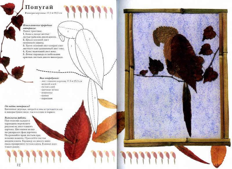 Иллюстрация 13 из 17 для Картины из цветов и листьев - Патрик Захарюк | Лабиринт - книги. Источник: Росинка