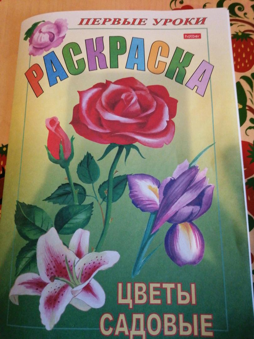 Иллюстрация 16 из 16 для Цветы садовые | Лабиринт - книги. Источник: Савушкина Ольга