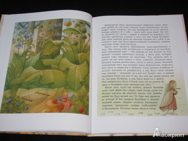 Иллюстрация 8 из 17 для Дюймовочка - Ханс Андерсен | Лабиринт - книги. Источник: Nemertona