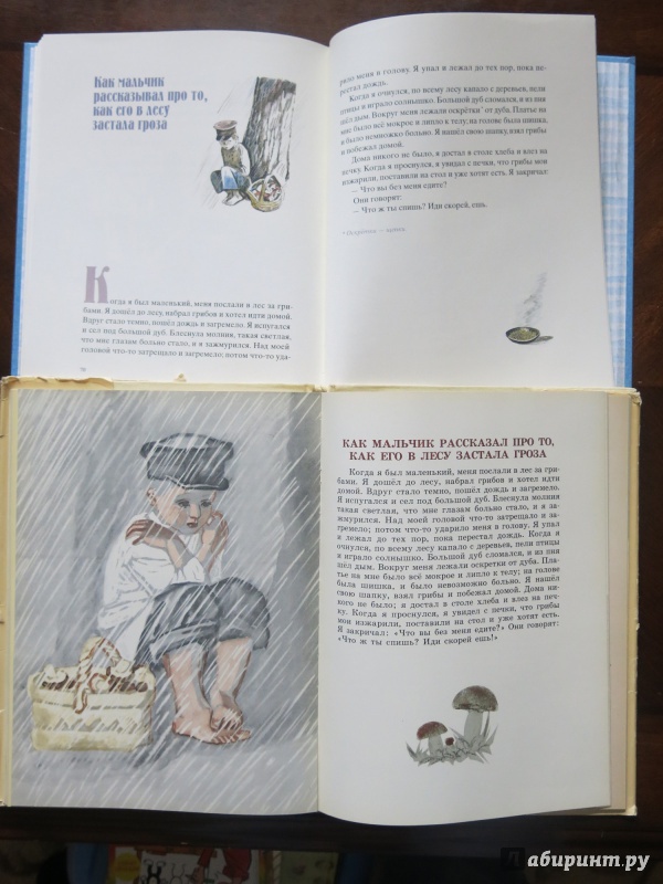 Иллюстрация 57 из 89 для Косточка - Лев Толстой | Лабиринт - книги. Источник: anschaffen