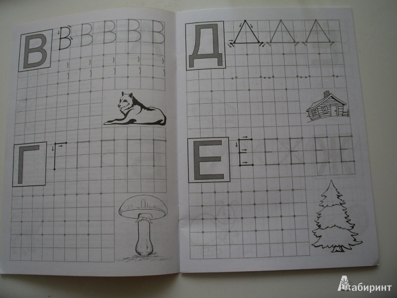 Иллюстрация 3 из 12 для Буквы по клеточкам - Марина Георгиева | Лабиринт - книги. Источник: Tiger.