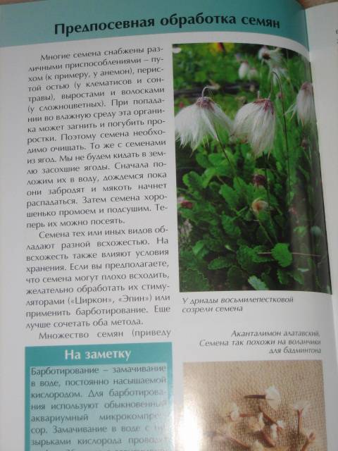 Иллюстрация 4 из 11 для Все цветы из семян - легко и просто - Ольга Бондарева | Лабиринт - книги. Источник: МЕГ