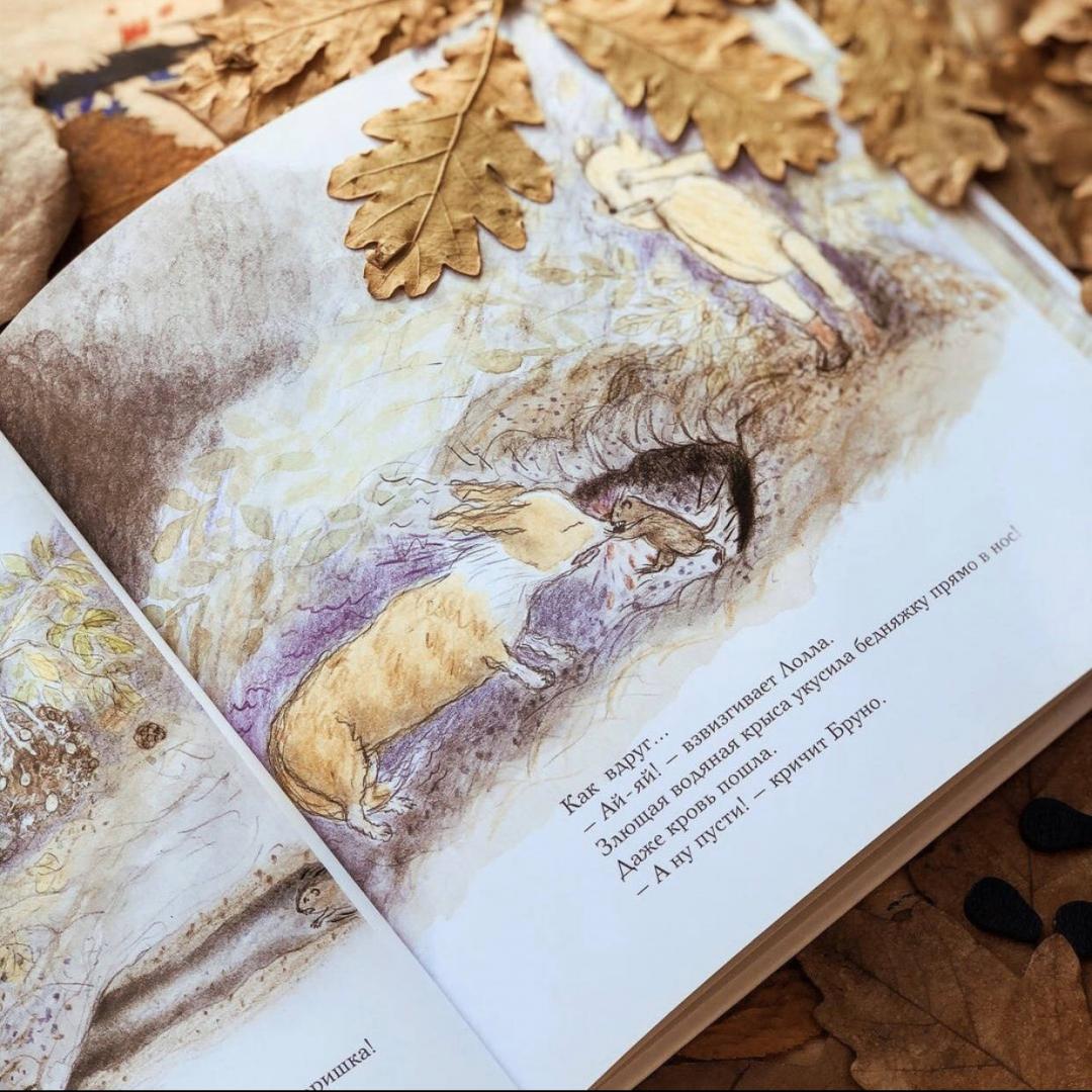 Иллюстрация 51 из 53 для Осень мишки Бруно - Гунилла Ингвес | Лабиринт - книги. Источник: Ситникова  Елена Игоревна