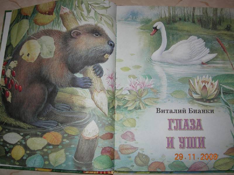 Иллюстрация 25 из 87 для Сказки о родной природе - Бианки, Сладков, Шим | Лабиринт - книги. Источник: Соловей