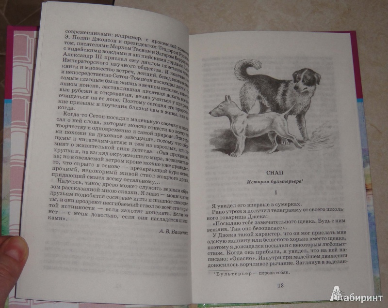 Рассказ сетона томпсона читать. Книга рассказы о животных Сетон Томпсон. Книга рассказы о животных Томпсон иллюстрации.
