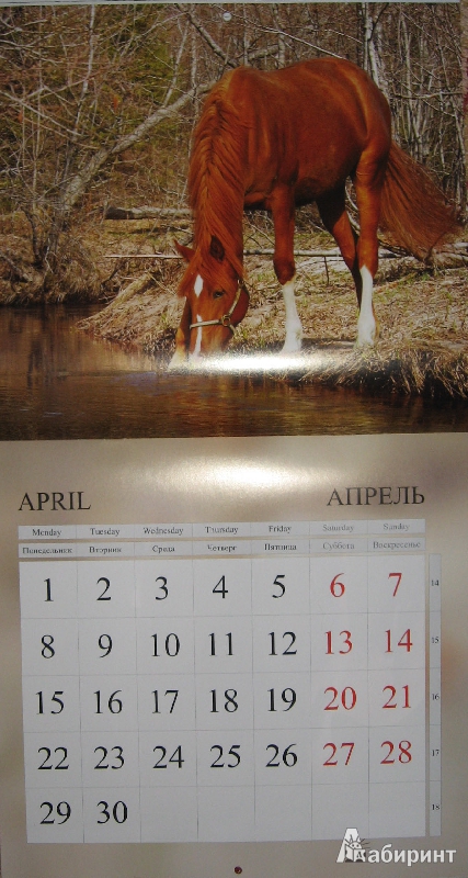 Иллюстрация 5 из 9 для Календарь 2013 "Лошади" | Лабиринт - сувениры. Источник: Nюша