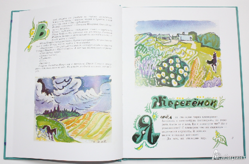 Иллюстрация 54 из 64 для Жеребенок - Юрий Коваль | Лабиринт - книги. Источник: Букландия