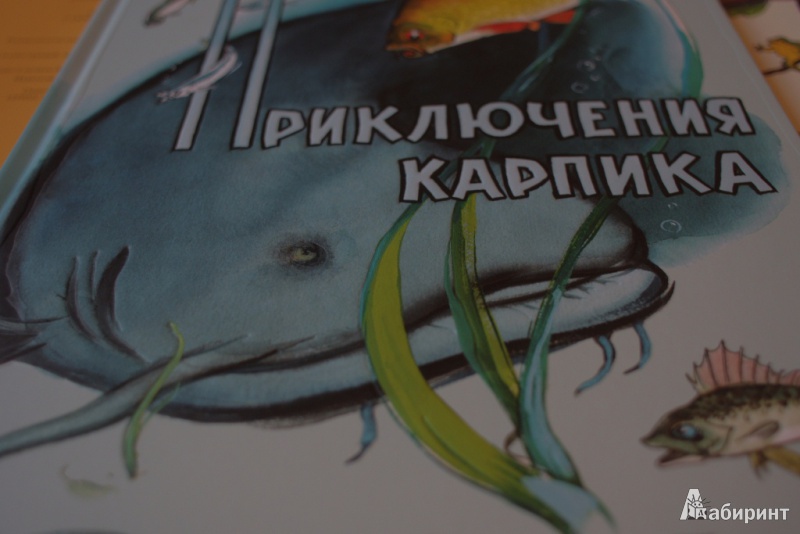 Иллюстрация 52 из 65 для Приключения Карпика - Андрей Клыков | Лабиринт - книги. Источник: Алонсо Кихано