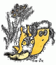 Иллюстрация 4 из 5 для Червячок Игнатий и его чудеса - Виктор Кротов | Лабиринт - книги. Источник: Решетникова  Любовь