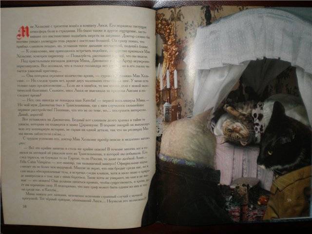 Иллюстрация 13 из 38 для Тень кота-вампира - Белянин, Махони, Уколов | Лабиринт - книги. Источник: Гостья