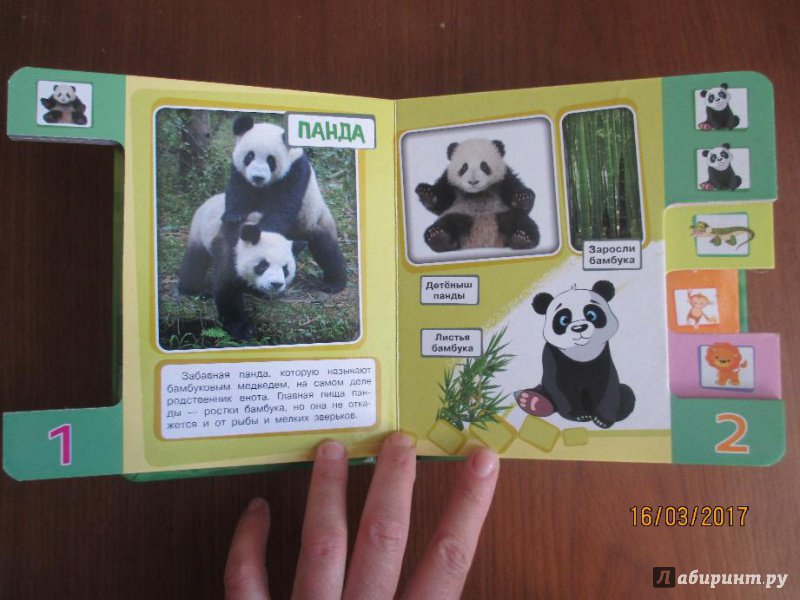 Иллюстрация 4 из 7 для Веселый зоопарк | Лабиринт - книги. Источник: Марина Епифанцева